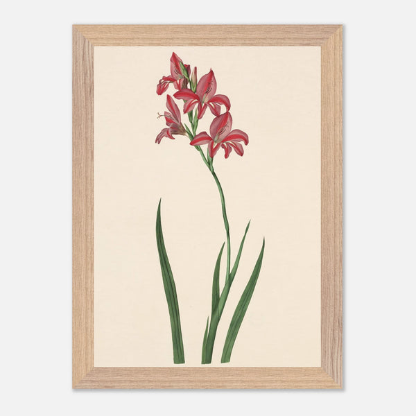 13bcd9d4-ad57-467d-b5a9-db1334f48fcc