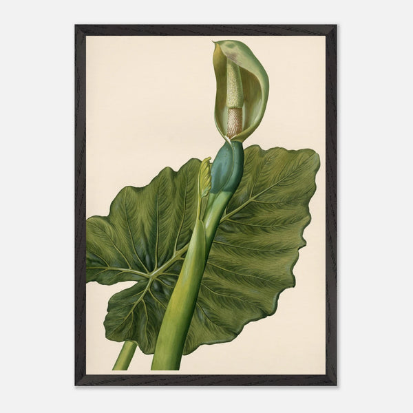 2258f0c6-7b81-49fc-9163-2258f9dfee1b