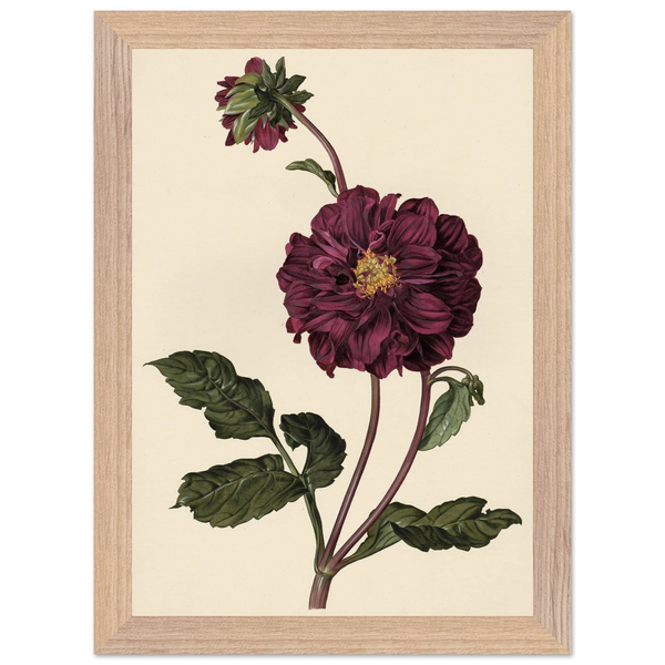 3443db72-be35-44f9-8a21-6022d0b0cd54