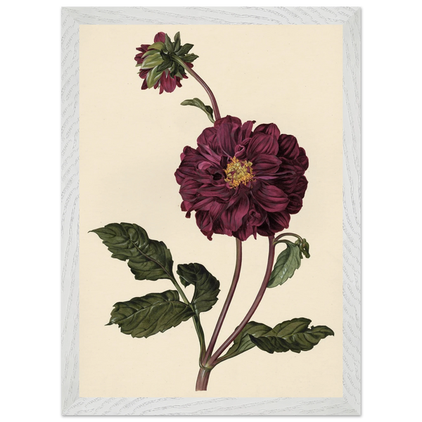 34ec6825-2699-4d20-93a5-e0f105869383