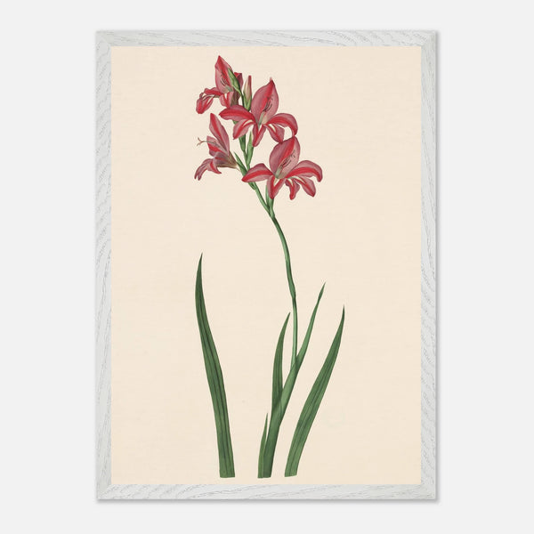 3b66d2e1-afa2-4692-8e57-0efa06a59953