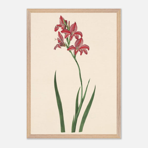 43fd9408-c0a8-4506-847d-b50b3ddc2c28