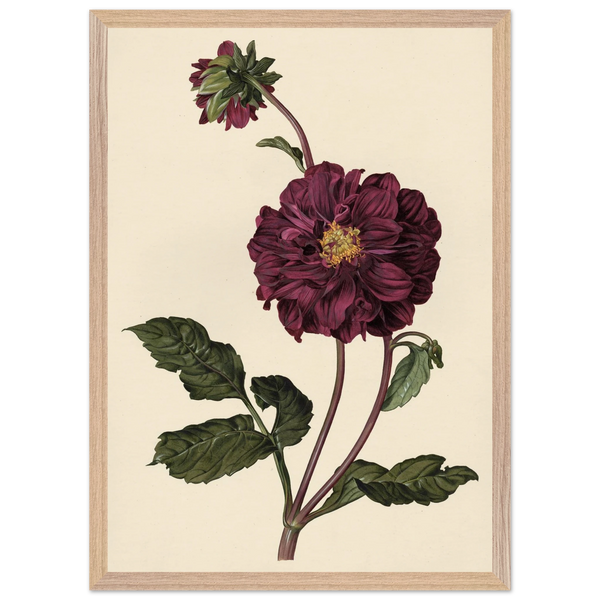 568bf059-abe3-4935-bb22-ba5044f3d9dc