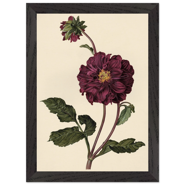 64808cda-7590-4122-ab44-5fa372039550