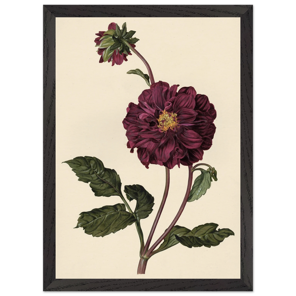 6674a067-5dc7-4865-9c4e-be0fcfbf376d