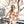 Kimono Dagobert Peche Diomedes