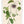 Art Print: Passionflower