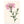 Art Print: Knapweed | Premium Wood Frame