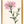 Kunstdruck: Flockenblume