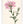 Kunstdruck: Flockenblume