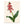 Art Print: Lachenalia | Premium Wood Frame