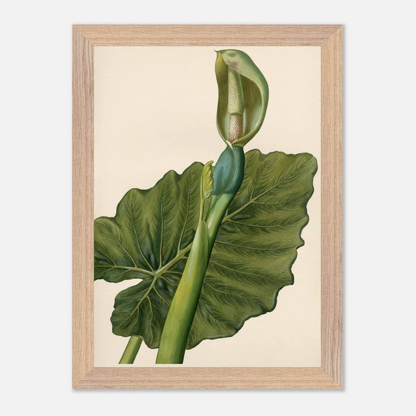 a4ee79e7-ed6c-4d96-b0b5-8d356acf10f9