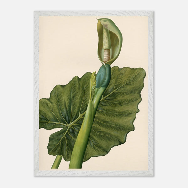 b3efc8d1-14db-4545-9d18-4701f2c84dcd