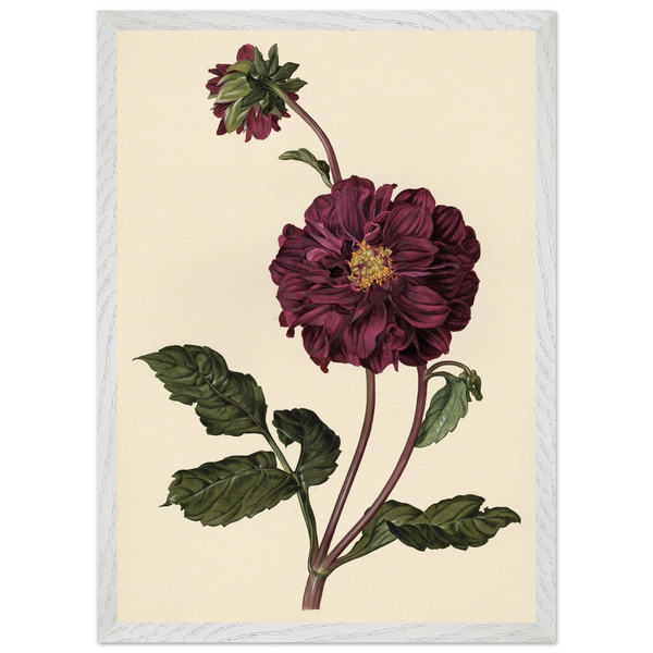 b75ce09d-c751-496a-901e-fea543de64e1