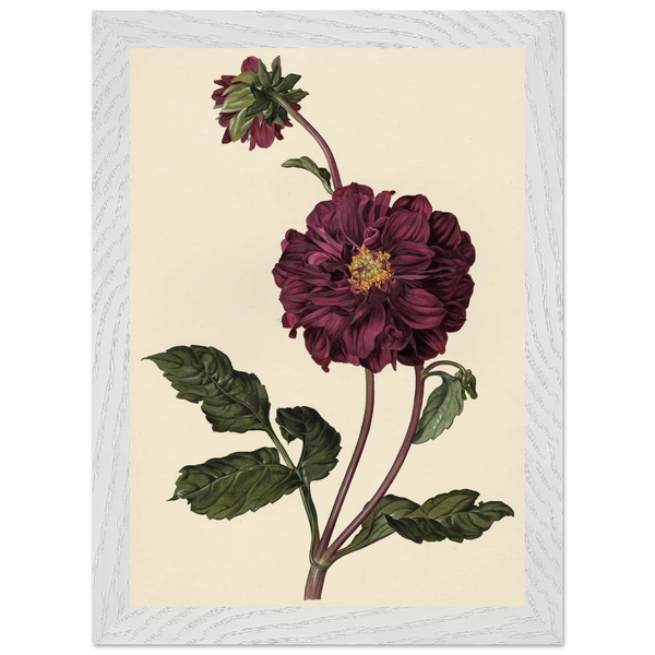 c63d5c0e-a349-48a0-acbe-05161314f9f0