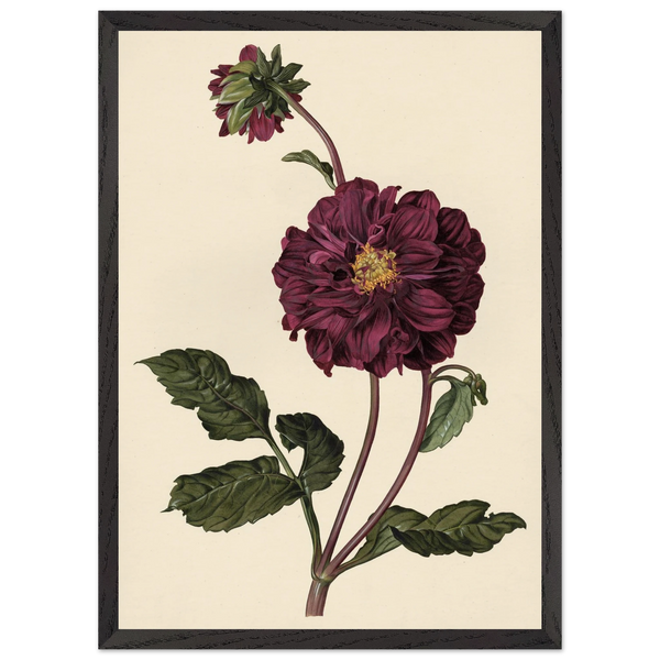 ca254f57-b3b8-4ab6-a980-aa9f77153a3e