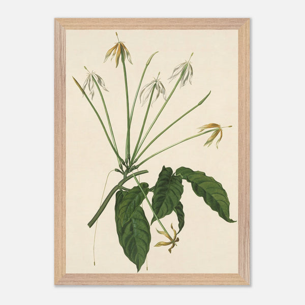 cb4884ba-03e7-49fc-8020-ff8b0eafafca