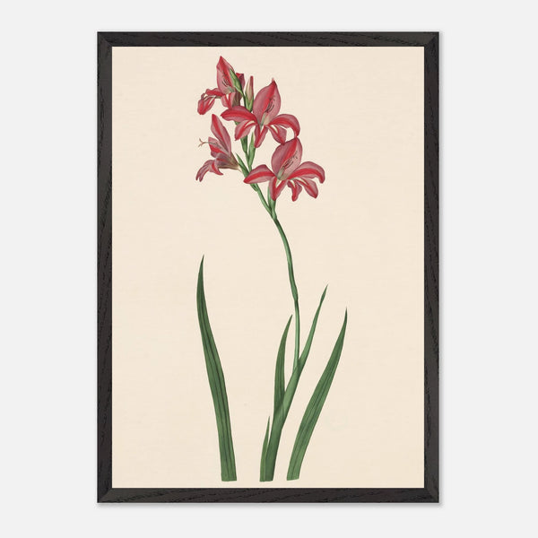 cc153016-1038-4803-90a6-cab30c215f37