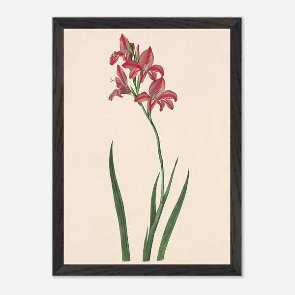 ce2fe0f8-dddd-4c04-8d0c-c1056ff1db05