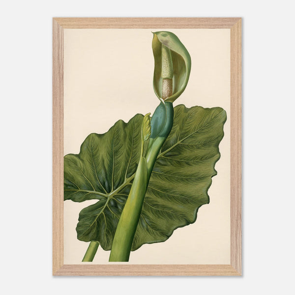 d8b9f1cd-a242-4ca5-89c6-6bc8518c5732